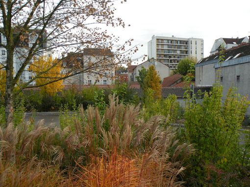  quartier médiathèque